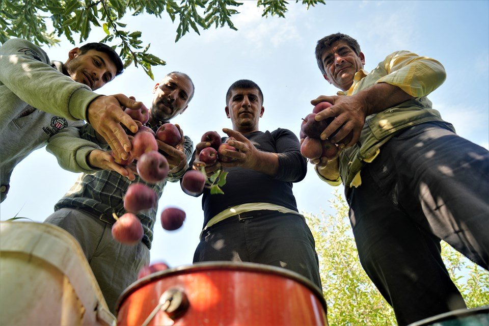 25 milyon lira gelir bekleniyor